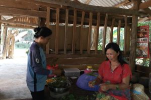 Watch our hosts prepare the meals, or even help to get the best homemade Khmer food experience.