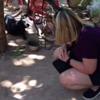 Guests play with the freidnly family dog