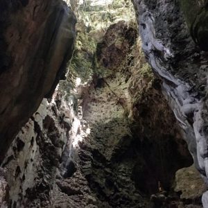 This cave at Phnom Sampov is on the top list of things to do in Battambang