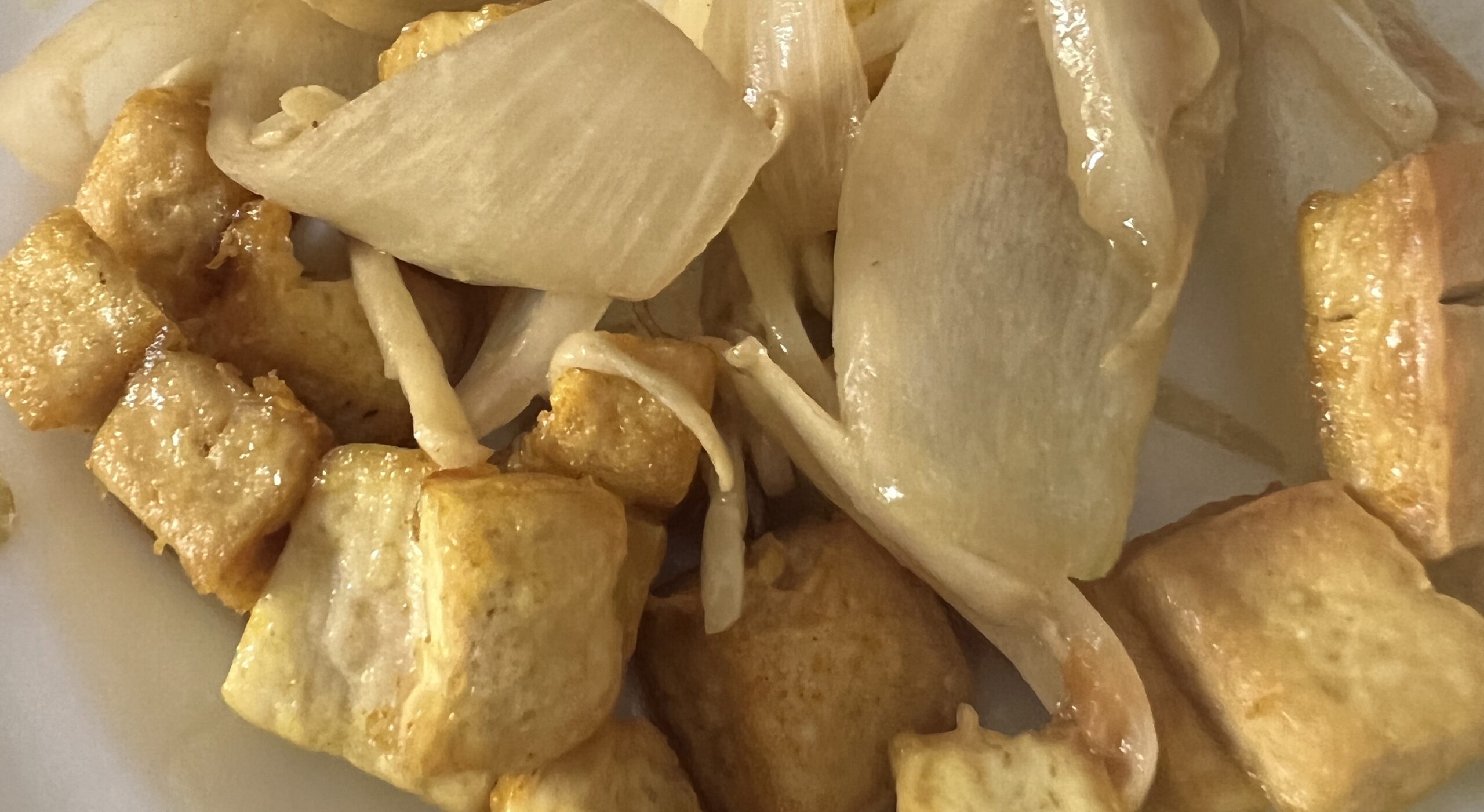Fried tofu with ginger and onion